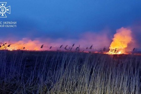 В Суворовском районе Одессы горели поля орошения (фото, видео)