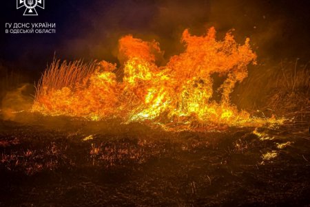 В Суворовском районе Одессы горели поля орошения (фото, видео)