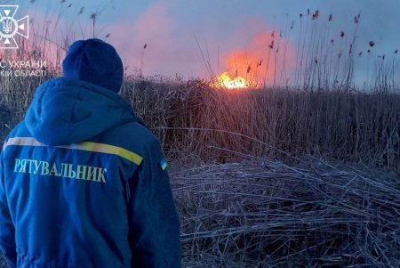 В Суворовском районе Одессы горели поля орошения (фото, видео)