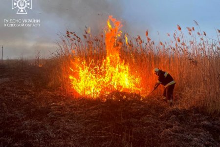 В Суворовском районе Одессы горели поля орошения (фото, видео)