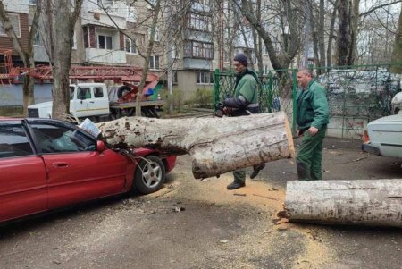 В Одессе коммунальные службы ликвидируют последствия бушующей непогоды (фоторепортаж) 