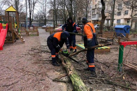 В Одессе коммунальные службы ликвидируют последствия бушующей непогоды (фоторепортаж) 