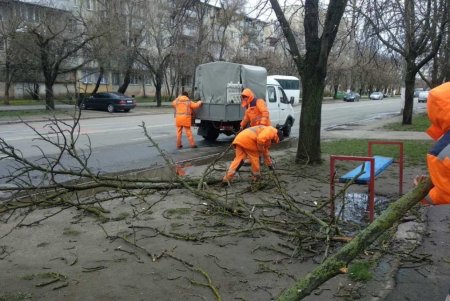 В Одессе коммунальные службы ликвидируют последствия бушующей непогоды (фоторепортаж) 