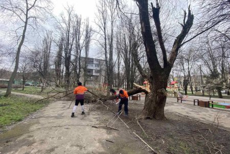 В Одессе коммунальные службы ликвидируют последствия бушующей непогоды (фоторепортаж) 