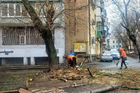 В Одессе коммунальные службы ликвидируют последствия бушующей непогоды (фоторепортаж) 