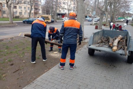 В Одессе коммунальные службы ликвидируют последствия бушующей непогоды (фоторепортаж) 