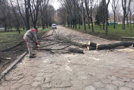 В Одессе коммунальные службы ликвидируют последствия бушующей непогоды (фоторепортаж) 