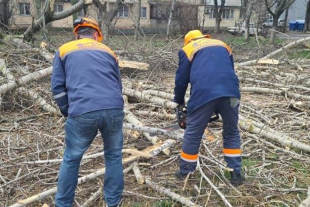 В Одессе коммунальные службы ликвидируют последствия бушующей непогоды (фоторепортаж) 