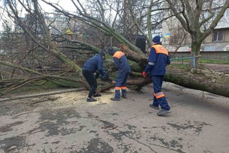 В Одессе коммунальные службы ликвидируют последствия бушующей непогоды (фоторепортаж) 