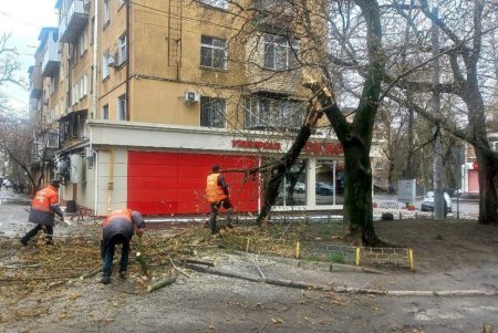 В Одессе коммунальные службы ликвидируют последствия бушующей непогоды (фоторепортаж) 