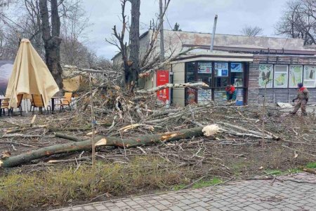 В Одессе коммунальные службы ликвидируют последствия бушующей непогоды (фоторепортаж) 