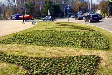 Городские клумбы украсили 50 тысяч маргариток и виол (фото)