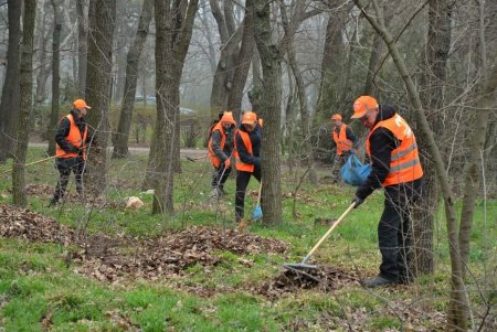 Коммунальщики привели в порядок парк Победы и высадили 10 декоративных вишен в Преображенском парке (фото)