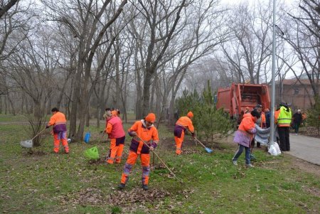 Коммунальщики привели в порядок парк Победы и высадили 10 декоративных вишен в Преображенском парке (фото)