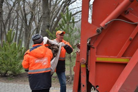 Коммунальщики привели в порядок парк Победы и высадили 10 декоративных вишен в Преображенском парке (фото)