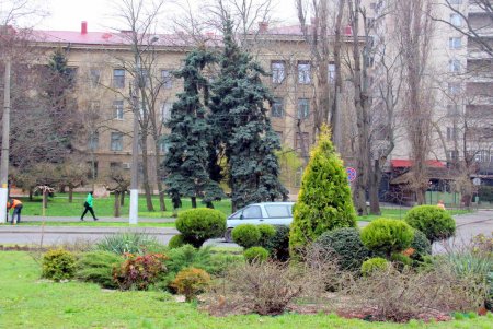 Генуэзская: зеленая улица, названная в честь итальянского города-побратима (фоторепортаж)