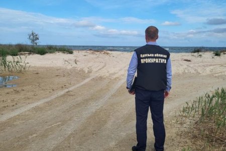 Экс-председатель Килийской администрации разворовывал земли Дунайского биосферного заповедника (фото)