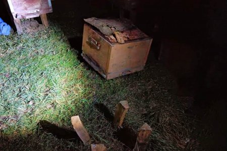Житель Балтской ОТГ ответит перед судом за воровство трех ульев, к которому он привлек несовершеннолетнего брата (фото)