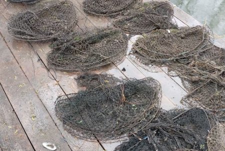 На Днестровском лимане обнаружено снаряжение для незаконной ловли раков: личность браконьера неизвестна (фото)