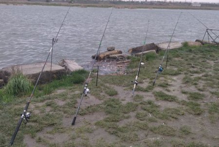 На реке Днестр и озере Сасык зафиксированы нарушения нерестового запрета: нарушителей привлекут к ответственности