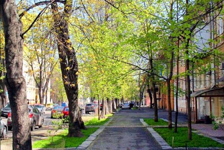 Прогулка по тихой и загадочной улице Дворянской (фоторепортаж)