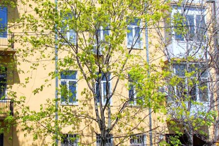 Прогулка по тихой и загадочной улице Дворянской (фоторепортаж)