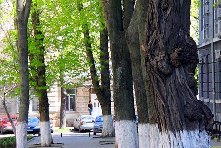 Прогулка по тихой и загадочной улице Дворянской (фоторепортаж)