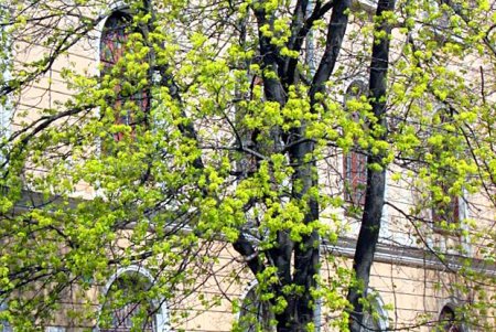 Прогулка по тихой и загадочной улице Дворянской (фоторепортаж)