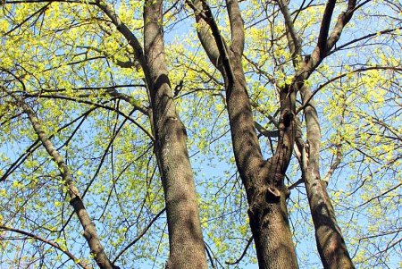 Прогулка по тихой и загадочной улице Дворянской (фоторепортаж)