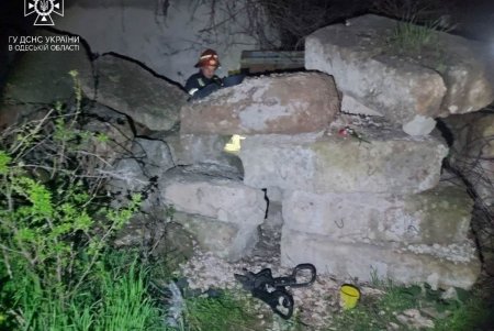 Под Одессой спасли щенков, погребенных под бетонными блоками (фото)