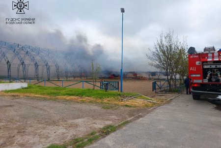 В Одесском районе сгорела частая конюшня площадью 500 квадратных метров