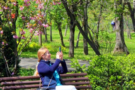 Зелень на месте трущоб: фотопрогулка по весеннему парку Победы (фоторепортаж) 