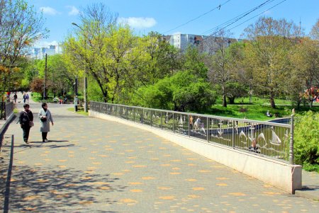 Зелень на месте трущоб: фотопрогулка по весеннему парку Победы (фоторепортаж) 