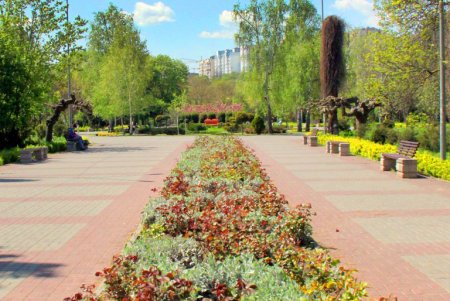 Зелень на месте трущоб: фотопрогулка по весеннему парку Победы (фоторепортаж) 