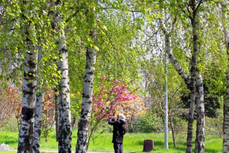 Зелень на месте трущоб: фотопрогулка по весеннему парку Победы (фоторепортаж) 