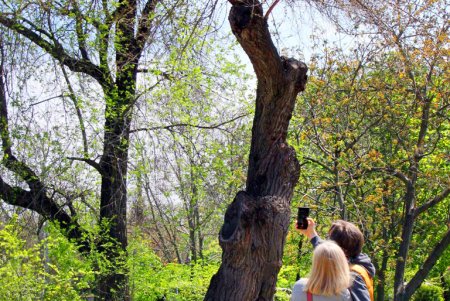 Зелень на месте трущоб: фотопрогулка по весеннему парку Победы (фоторепортаж) 