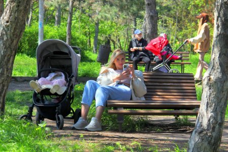 Зелень на месте трущоб: фотопрогулка по весеннему парку Победы (фоторепортаж) 