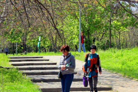 Зелень на месте трущоб: фотопрогулка по весеннему парку Победы (фоторепортаж) 
