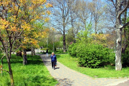 Зелень на месте трущоб: фотопрогулка по весеннему парку Победы (фоторепортаж) 