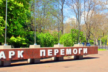 Зелень на месте трущоб: фотопрогулка по весеннему парку Победы (фоторепортаж) 