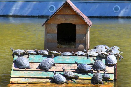 Зелень на месте трущоб: фотопрогулка по весеннему парку Победы (фоторепортаж) 