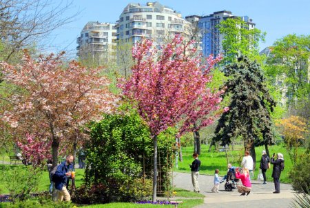 Зелень на месте трущоб: фотопрогулка по весеннему парку Победы (фоторепортаж) 