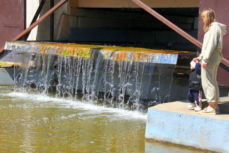 Зелень на месте трущоб: фотопрогулка по весеннему парку Победы (фоторепортаж) 