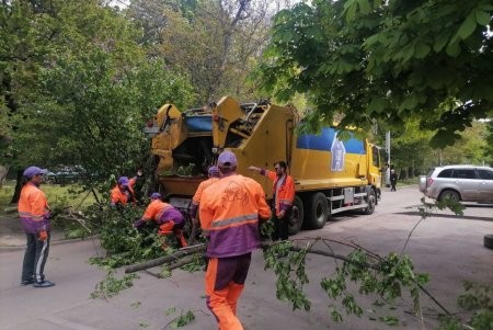 В Одессе продолжается акция «Большая уборка» (фото)
