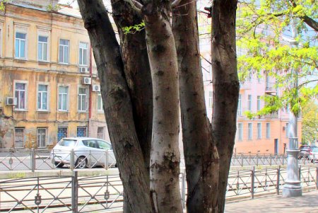 Спуск Маринеско — оживленная магистраль, соединяющая центр города и Пересыпь (фоторепортаж) 