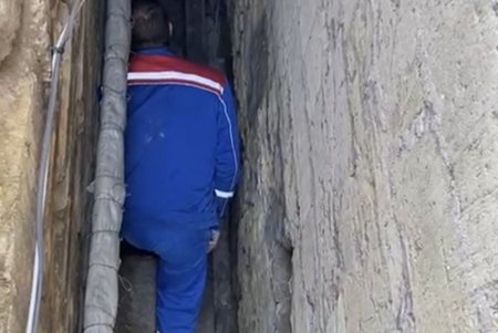 Одесские коммунальщики спасли из ямы котенка (фото)