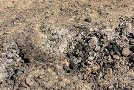 В результате ночного удара по Одессе один человек погиб и два ранены (обновлено), (фото) 