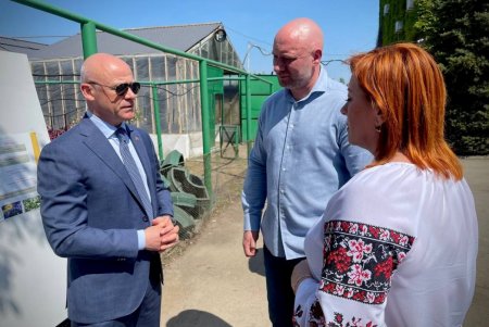 На улицах Одессы высаживают цветы, выращенные в теплицах коммунального хозяйства «Троянда» (фото)