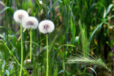 Улица Мечникова: прогулка по одной из самых длинных улиц Одессы (фоторепортаж) 