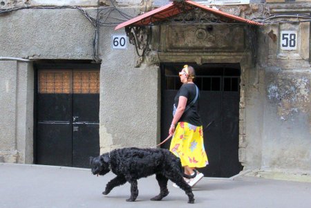 Улица Мечникова: прогулка по одной из самых длинных улиц Одессы (фоторепортаж) 